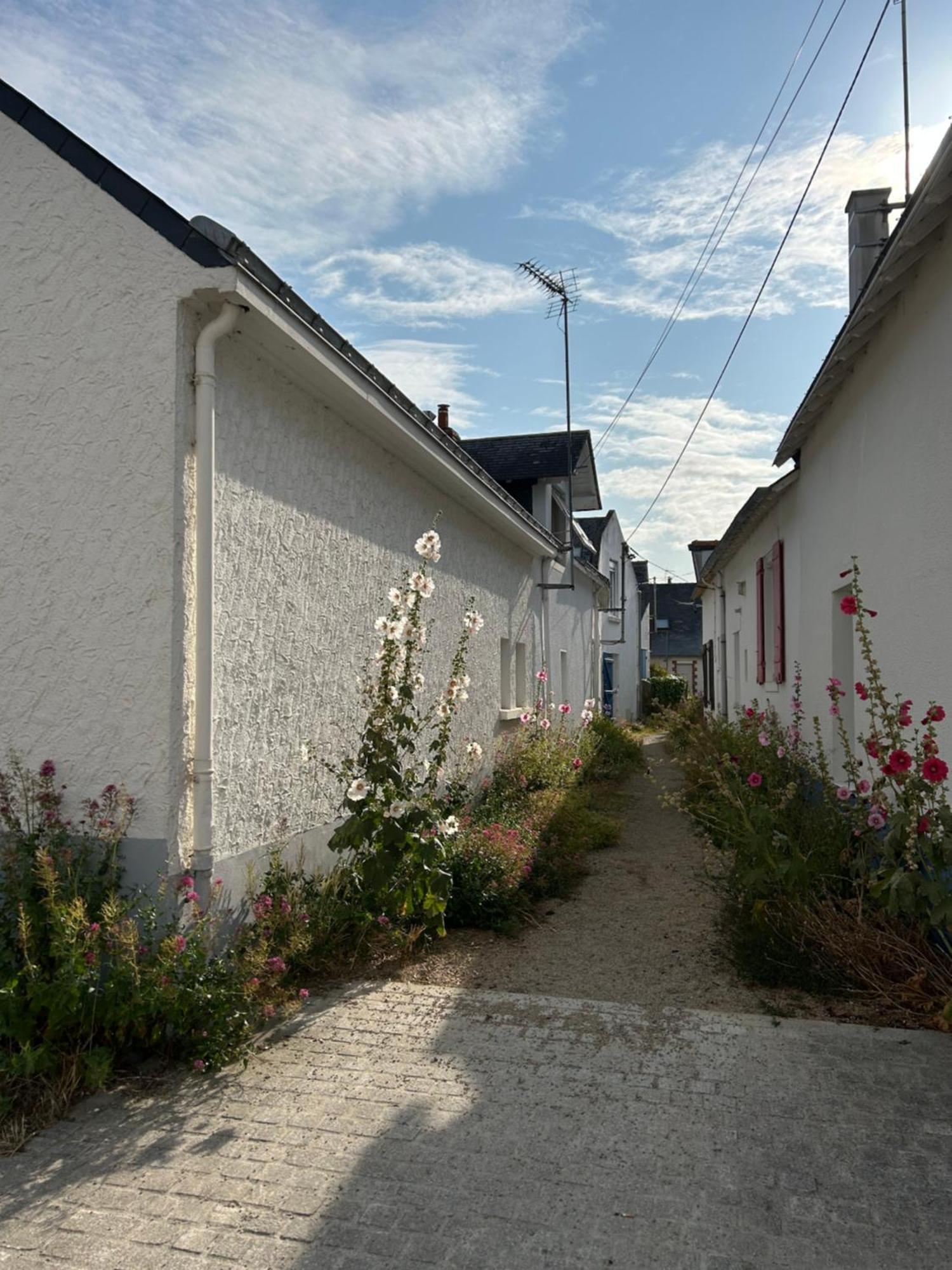 Villa En Bord De Mer Pornichet Extérieur photo